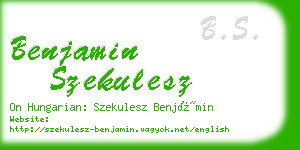 benjamin szekulesz business card